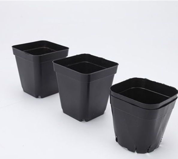 12pcs Seedling Small Black Square Pots Nursery Plastic Flower Pots Succulents Plant Pots
