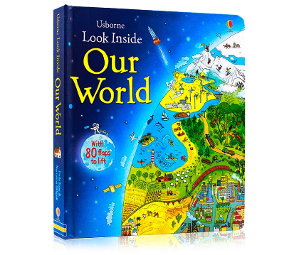 Usborne Look Inside Our World Educational 3D Board Books for Children Kids Reading Picture Book
