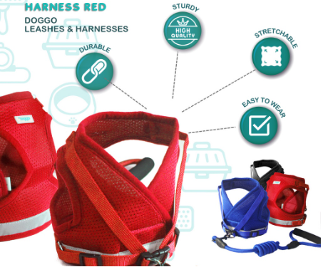 Doggo Leash & Bucket Harness (Extra Large)