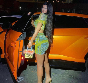 Women Hot Style Mesh Print See Through Short Sleeve Cropped Tank Skirt 2Pcs Set