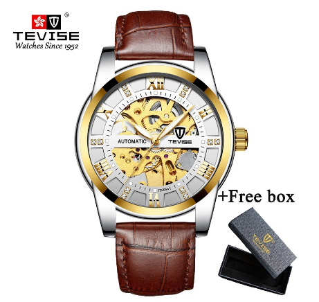 TEVISE Automatic Watch for Men relo Waterproof watch Analog Gold Skeleton Luxury Stainless Steel Steel Luminous 9005A 9