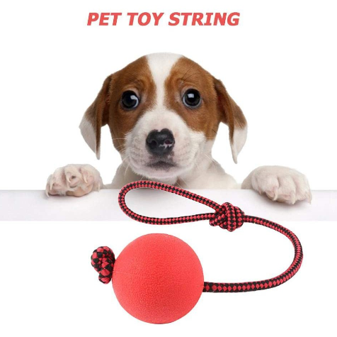 Solid Indestructible Rubber Bite Ball With Rope Chew Toy