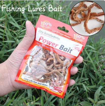 Dry Sandworms Fishing Lures Bait Saltwater Freshwater Feeder For Sea Carp Fish Artificial Bait Accessories All For Fishing