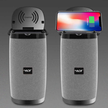ACE 5650 Bluetooth Speaker