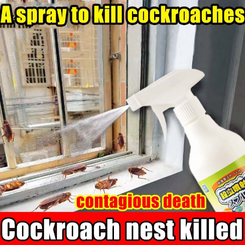 AIR OMA cockroach killer spray 500ml insecticide spray Safe and non-toxic