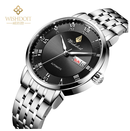 WISHDOIT Watch For Men Original Waterproof Stainless Business Fashion Luminous Automatic Mechanical Wristwatch SILVER BLACK 2