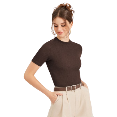 Lovito Casual Plain Small Stand Collar T-Shirt for Women L30ED021