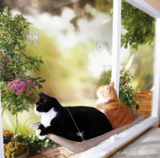 Cute Pet Cat Hammock Beds Pet Bed Bearing 20kg Cat Shelf Window Perch Window Mounted Cat Bed
