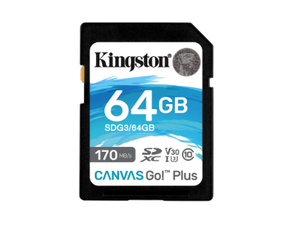 Kingston Canvas Go Plus 64 GB SD Memory Card