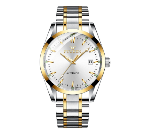 FNGEEN 6612-1 Men's Automatic Mechanical Watch SILVER GOLD WHITE