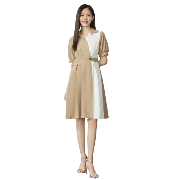 Lovito Women Elegant Plain Colorblock Dress L77ED303