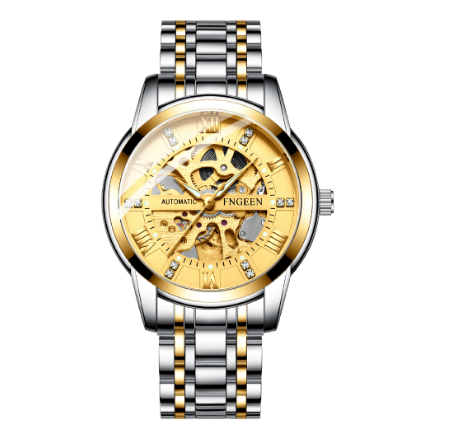 FNGEEN 6020 Men's Automatic Mechanical Watch SILVER GOLD