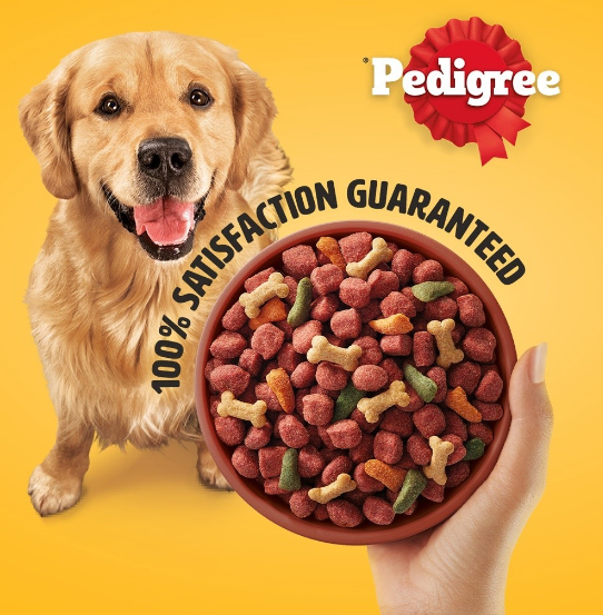 PEDIGREE Adult Dry Dog Food Beef And Vegetable Flavor 500g