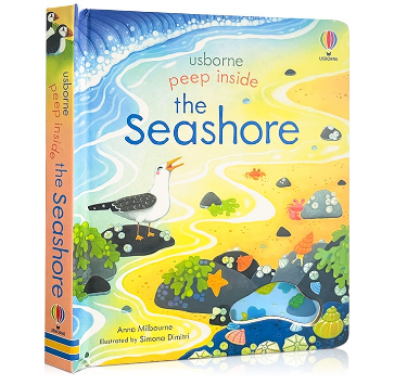 Usborne Peep Inside The Seashore English Board Books for Kids Children Bedtime Reading Picture Books