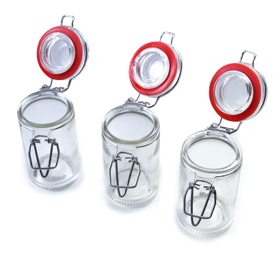Masflex 70 ml 3 Piece Glass Spice Jars with Glass Lid