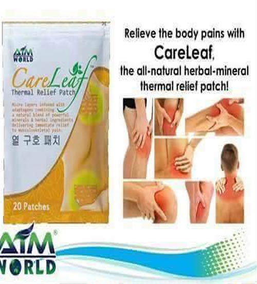 CARELEAF THERMAL RELIEF PATCH