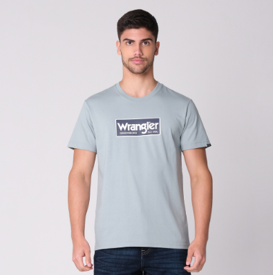 Wrangler Men's Logo T-Shirt Silver Blue