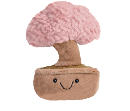 Succulent Plant Pink Plush