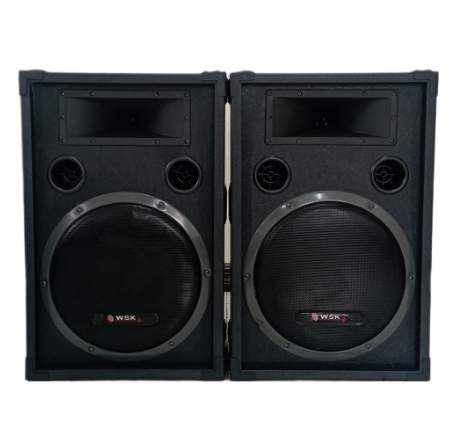 Centrix WSK D10 2- Way Speaker