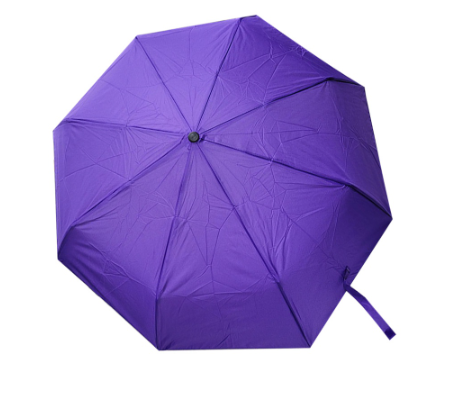 Stella Essentials Basic Automatic Umbrella (Purple)