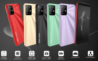 Qnet Mobile C22 Mobile Phone