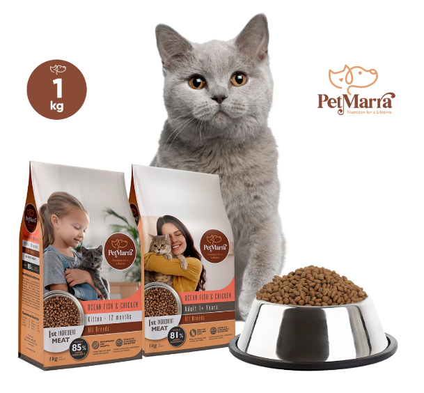 PetMarra Adult Cat/Kitten Dry Food Oceanfish and Chicken Flavor 1kg Collection cats kibble