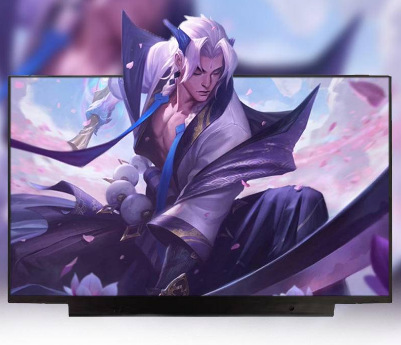 ACER Nitro 5 AN515-44 AN515-45 AN515-55 AN515-56 AN515-57 N20C1 15.6 '' Laptop LCD Screen FHD 144HZ IPS 1920 * 1080