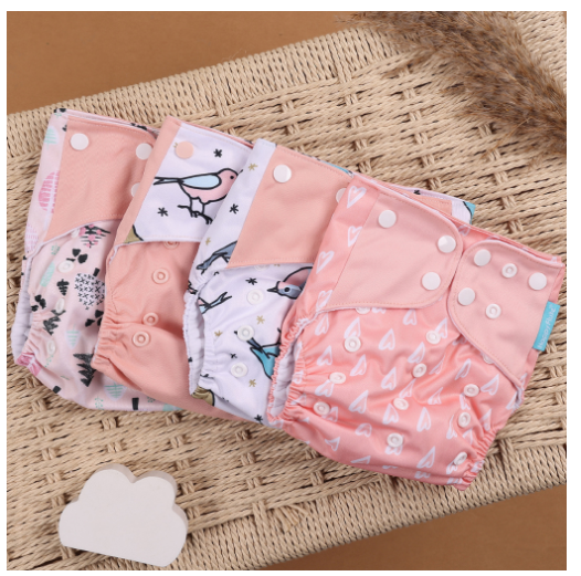 Happyflute Eco-Friendly Cloth Diaper Ecological Baby Diapers 4Pcs Set 6