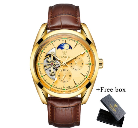 TEVISE Watch for men Automatic analog Skeleton Gold Luxury Stainless Steel Strap Waterproof Tourbillon 795A 5