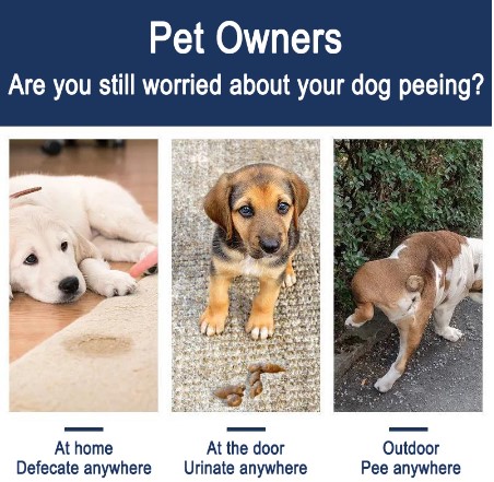 Potty Spray Training Dog 50ml Pet Defecation Inducer Pet Dog Pee Inducer Guided Toilet Training