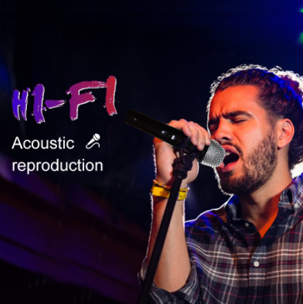 CyberHome Karaoke CH-300 High-End Dynamic Wired Mic