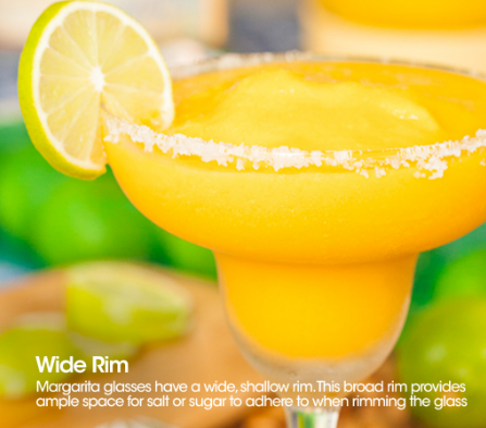 CRYSALIS Margarita Cocktail Glass 295ml|9oz [Set of 2] Bar Drinking Glass Essentials