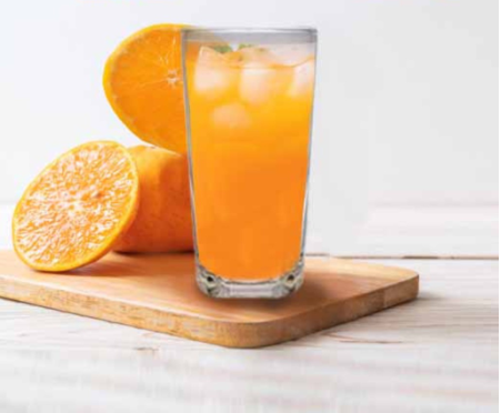 UNION GLASS Clear Glass Highball Water, Juice, Soda, Liquor Glass 293ml | 10 oz [Set of 6]