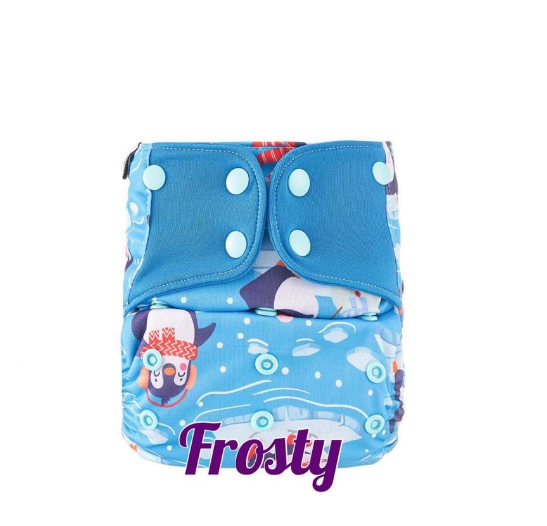 Booldeet Posh Cloth Diaper Newest Prints with 4-Layer Contoured Microfiber Insert S4