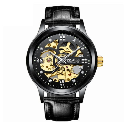 FNGEEN 6018 Men's Automatic Mechanical Watch ALL BLACK LEATHER