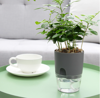 Water Inlet Self Watering Pot Indoor Outdoor Flower Plants Modern Planter Clear Bottom