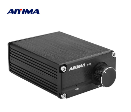 AIYIMA Subwoofer Audio Amplifier 100W TPA3116 TPA3116D2 Mono Digital Power Amplifiers NE5532 OP AMP With Case