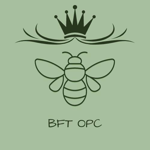Bee Focus Trading OPC