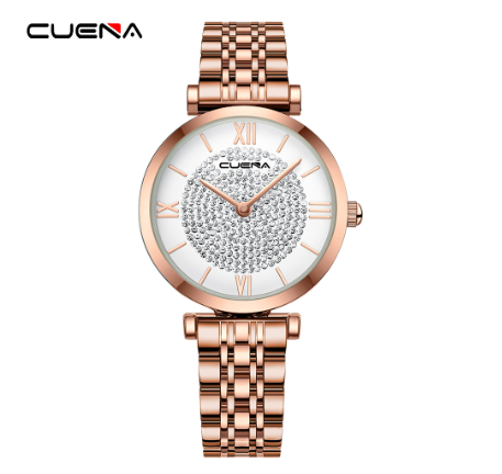 CUENA Women Watches Original Brand Fashion Stainless Steel Luxury Small Dial Casual Business Sports Quartz Waterproof 6066 W2