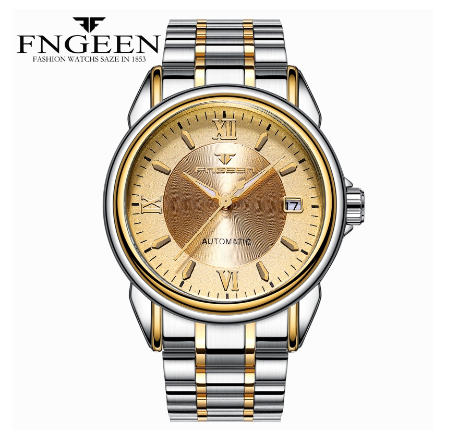 FNGEEN 6602 Men's Automatic Mechanical Watch SILVER GOLD