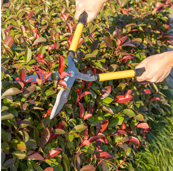 Deli Gardening Tool Scissor 23" 33" Garden Shears Garden Scissors For Cutting/Trimming