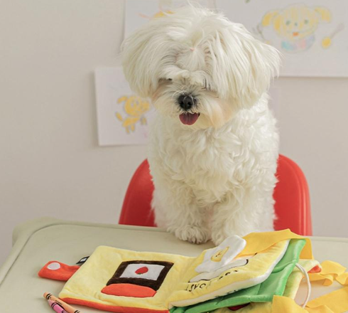 JOY Dog Toy Dispensing Interactive Puppy Plush Book Stuffed Chew Toys Snuffle Pad