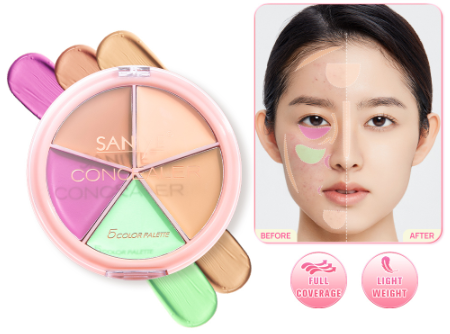 SANIYE Flawless Multi Colors Portable Concealer Palette Cream R1179