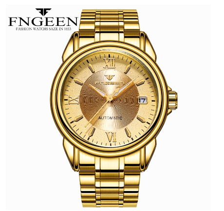 FNGEEN 6602 Men's Automatic Mechanical Watch  GOLD