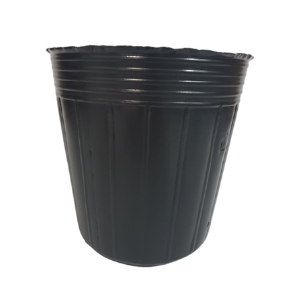 Black Pots (Ht: 7 Inches x Dia: 8 Inches), 6 Pcs per Set for big Ornamental Plants