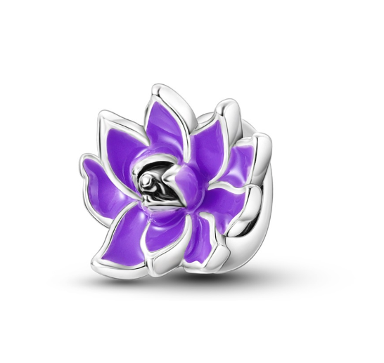 S925 Silver Charm Gorgeous Firework Beads Suitable For Pandora Bracelet Necklace Exquisite Bricolage Jewelry d3