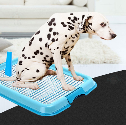 Dog Training potty pad (With Stand) Pet toilet Dog toilet Dog Training Potty Pad(With Stand)