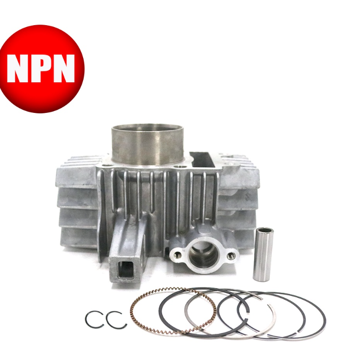 NPN Cylinder Block Kit For Kawasaki Fury125