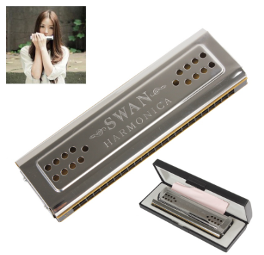 Harmonica Professional 24 Holes Key Of C&G Double Side Tremolo Harmonica Woodwind Instruments