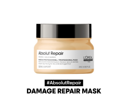 LOreal Professionnel Serie Expert Absolut Repair Gold Hair Mask (Dry and Damaged Hair) 250ml